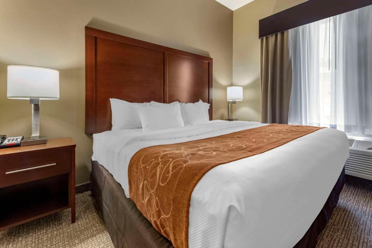 Comfort Suites Bridgeport - Clarksburg Esterno foto